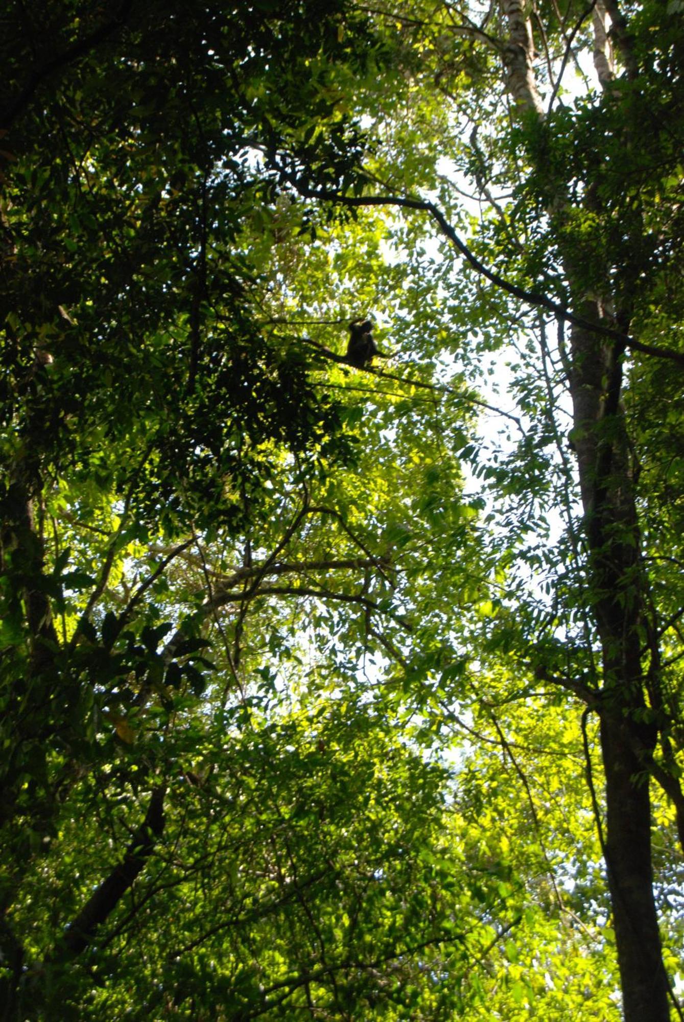 Finca Vallescondido El Caobano Zewnętrze zdjęcie