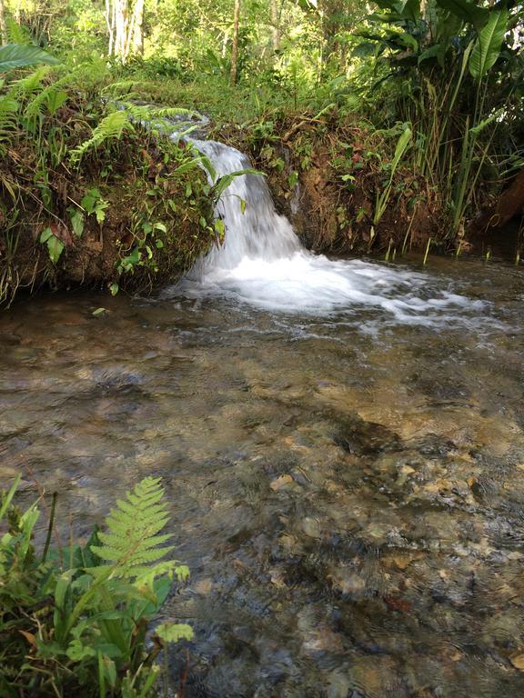Finca Vallescondido El Caobano Zewnętrze zdjęcie